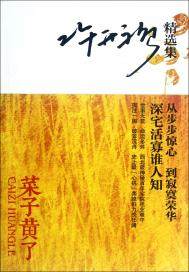 ���ӻ���