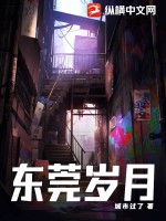 ��ݸ����